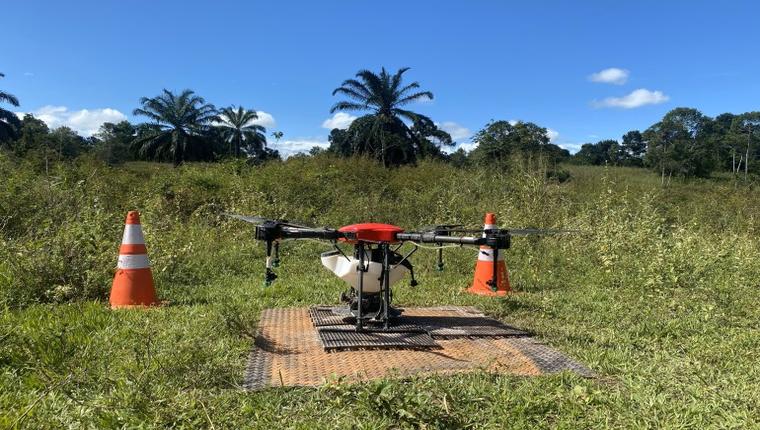 Can Seed-Sowing Drones Combat Worldwide Deforestation?