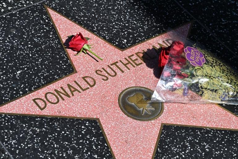 Donald Sutherland's star on the Hollywood Walk of Fame. Red roses and bouquets have been placed in tribute.