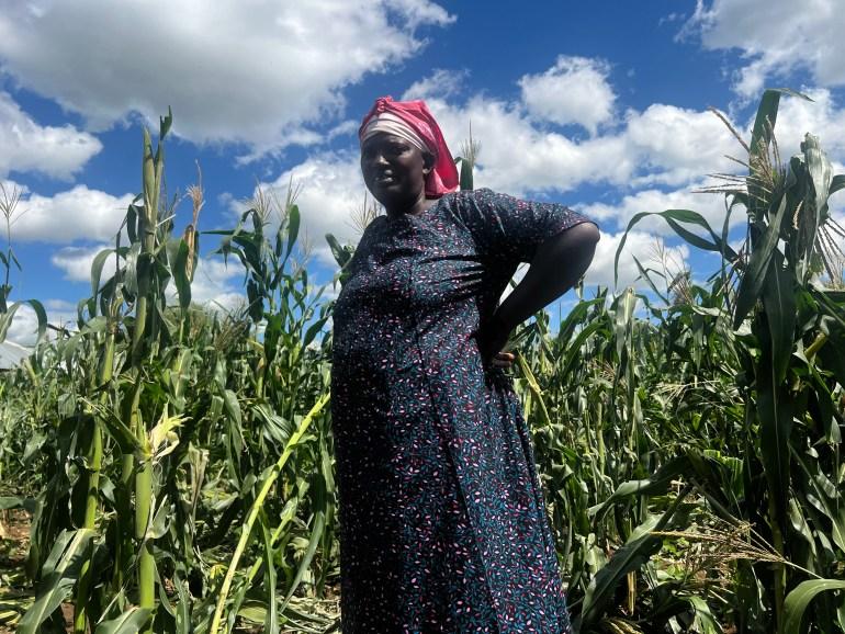 Farmer stands in destroyed maize farm